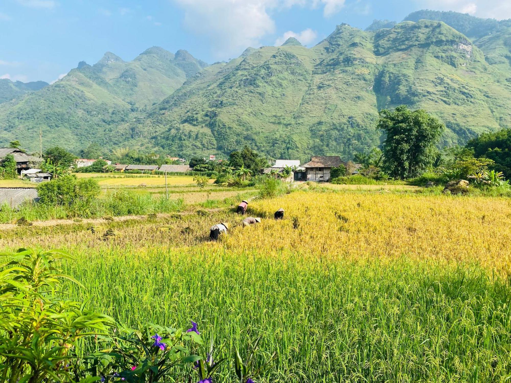 Du Gia Field View Homestay Làng Cac Extérieur photo