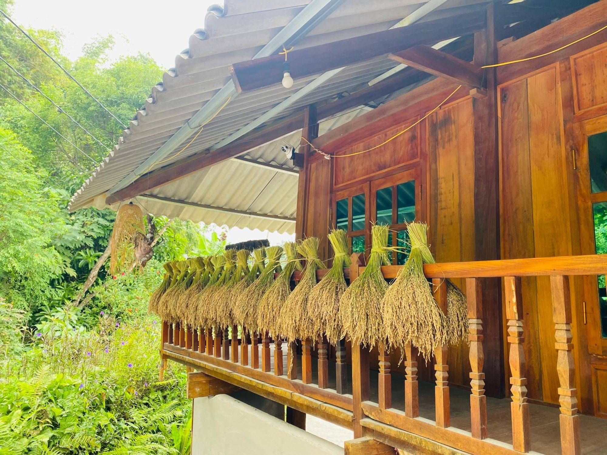 Du Gia Field View Homestay Làng Cac Extérieur photo