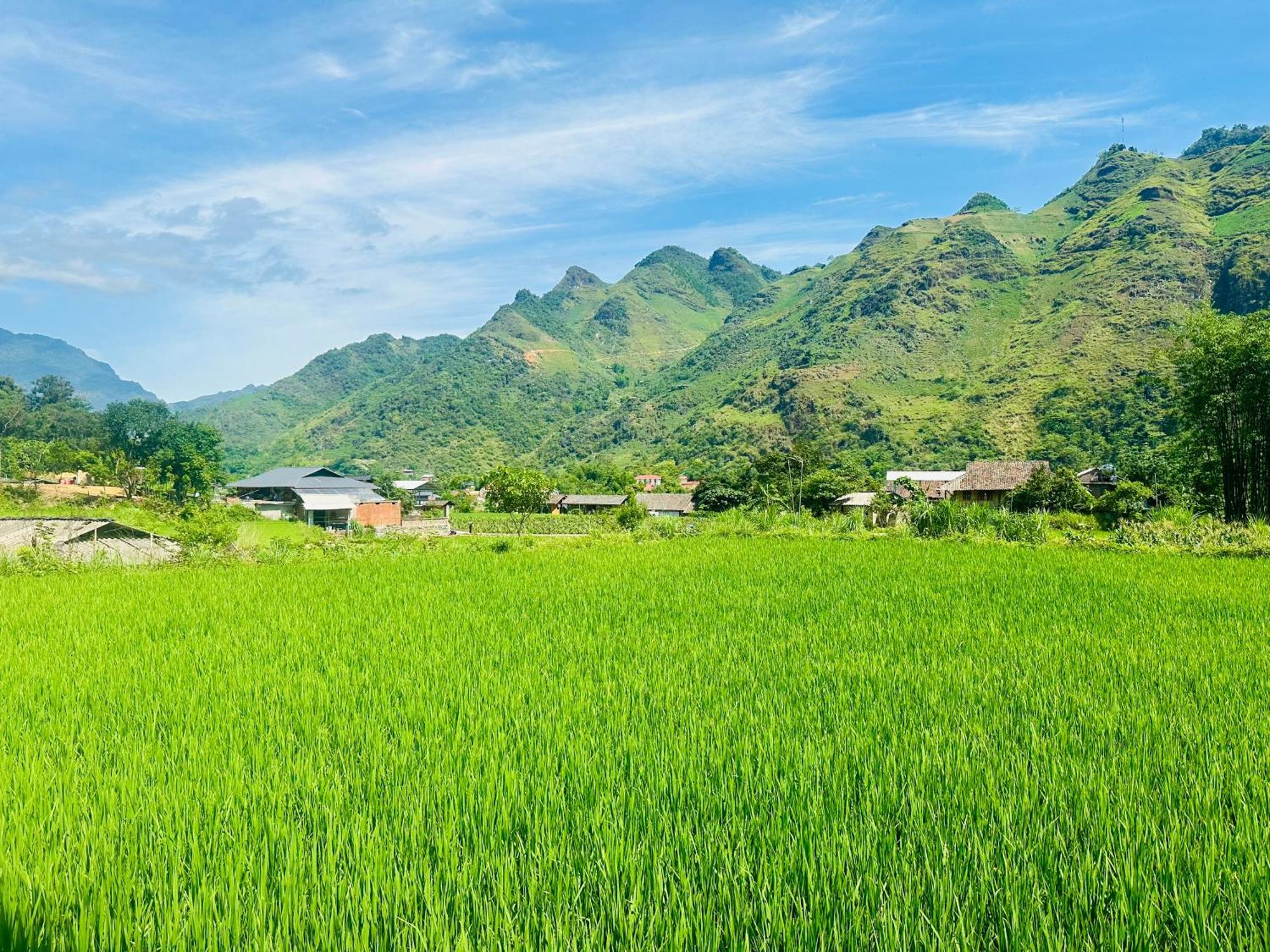 Du Gia Field View Homestay Làng Cac Extérieur photo