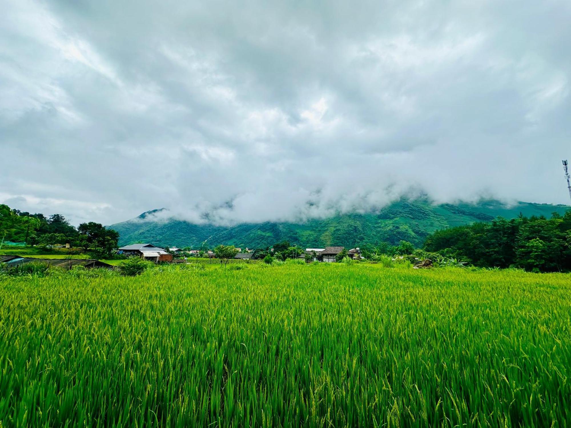 Du Gia Field View Homestay Làng Cac Extérieur photo
